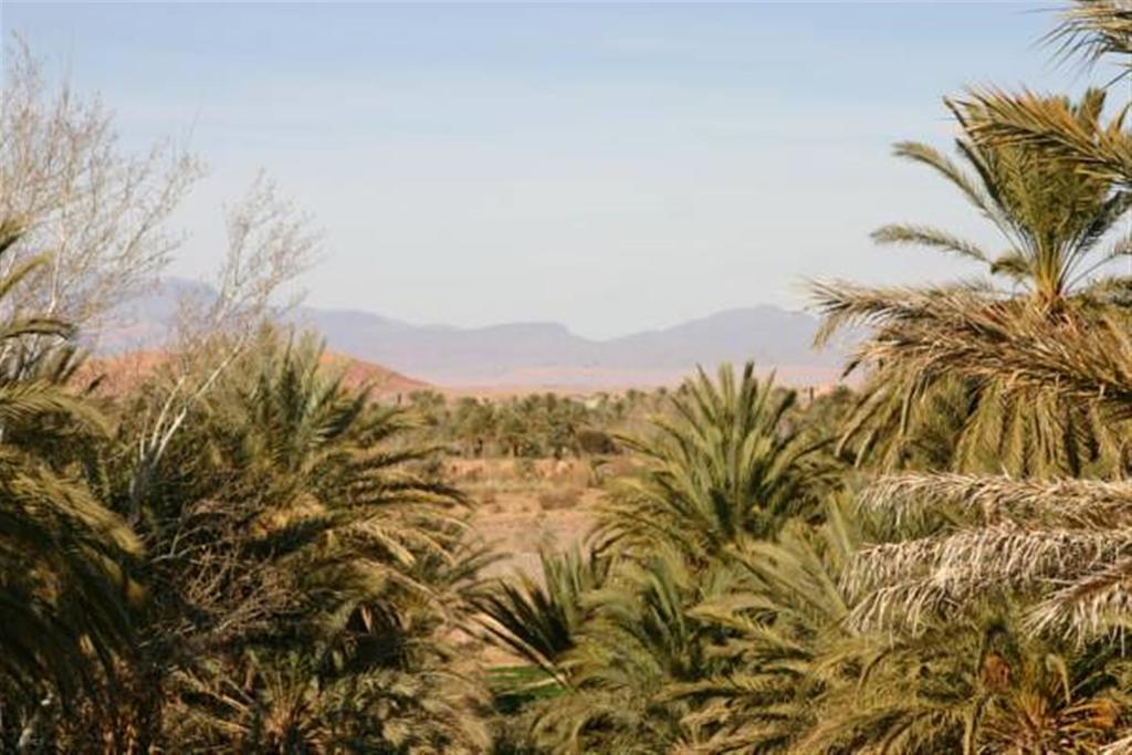 Riad Sarayas Tajda エクステリア 写真