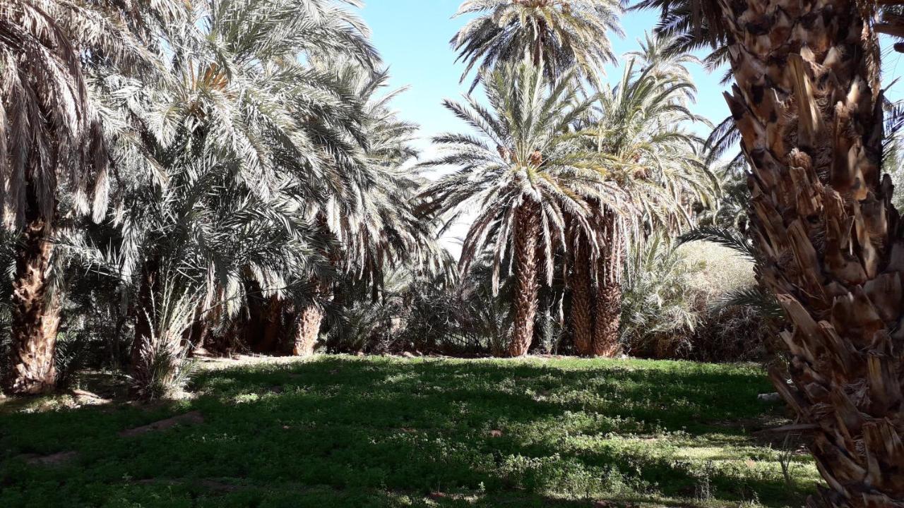 Riad Sarayas Tajda エクステリア 写真