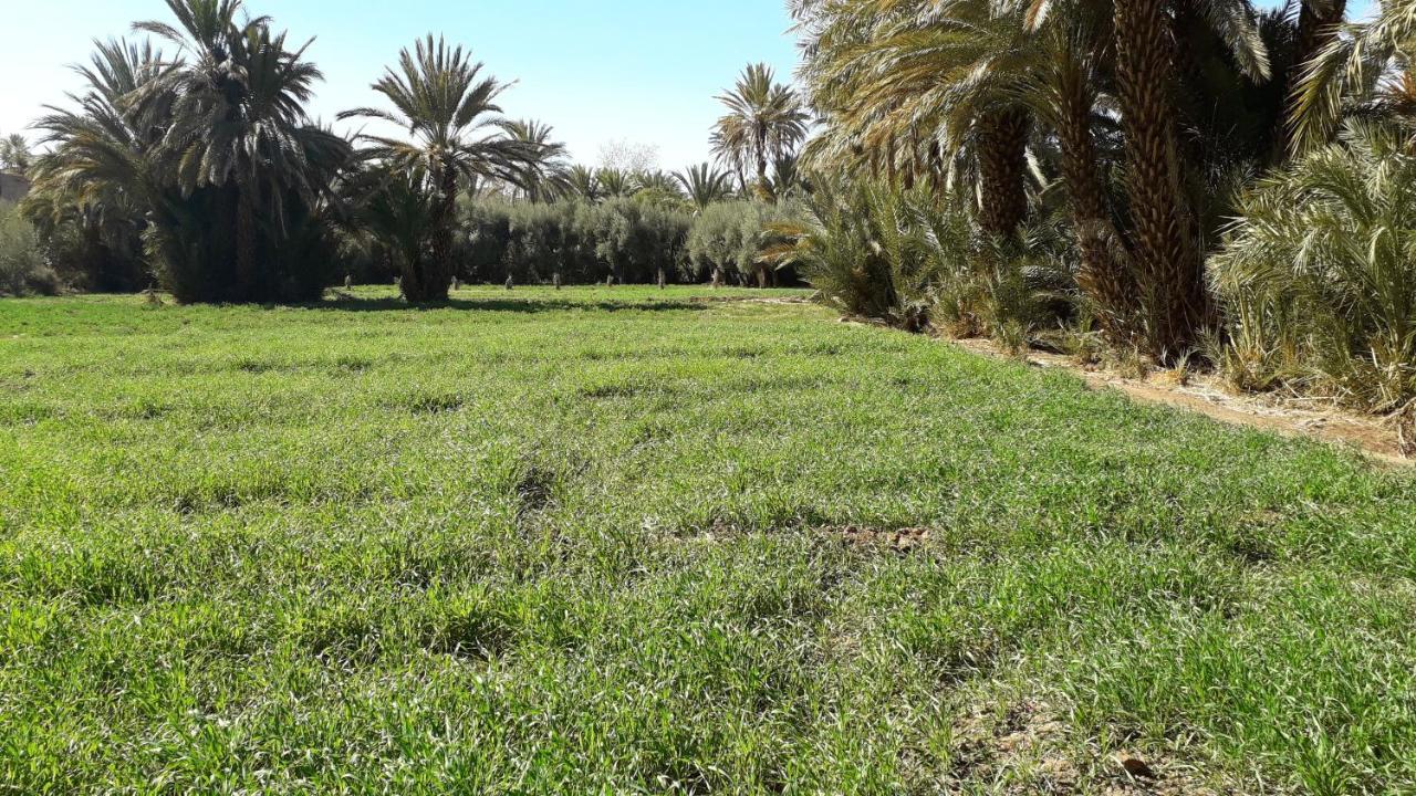 Riad Sarayas Tajda エクステリア 写真
